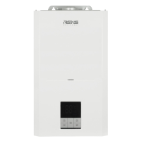 Газовый котёл RENS RGB-024